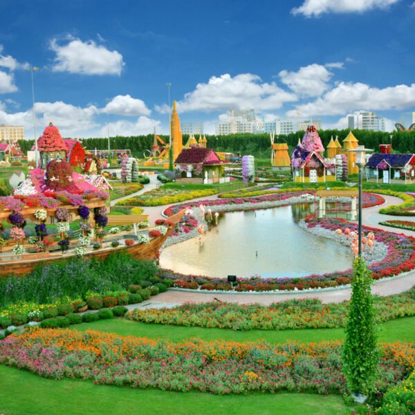 Here’s a cheap way to visit Miracle Garden in Dubai