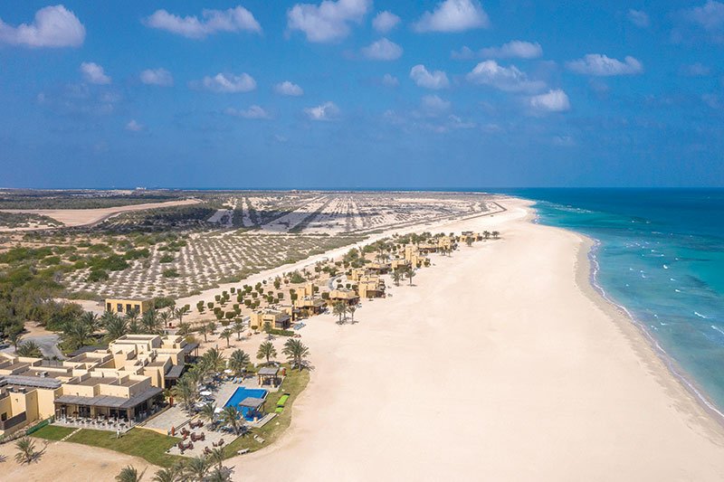 Take a walk on the wild side on a private Abu Dhabi island