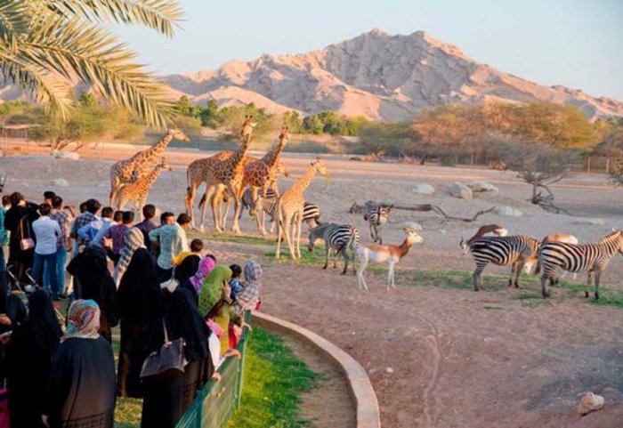 Al Ain Zoo free entry for seniors