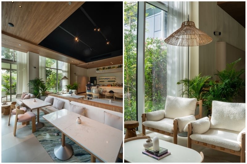 New vibes in the jungle: NETTE opens in Al Barari