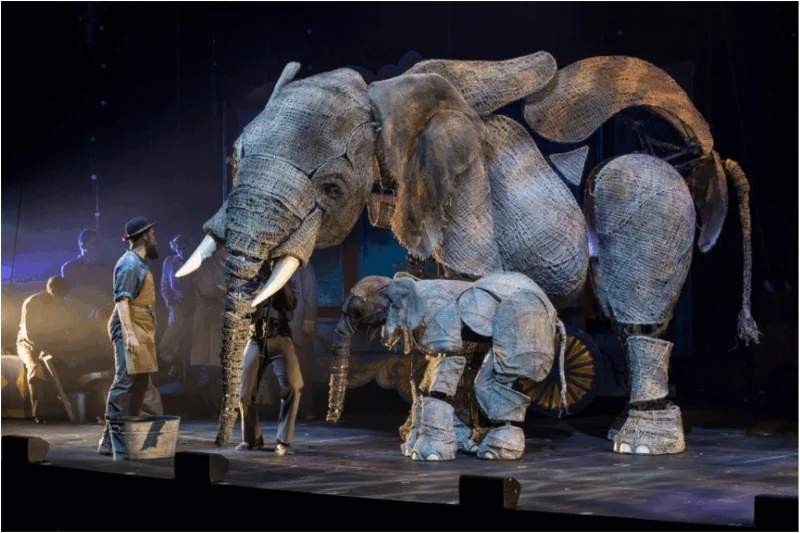 June 20 to 22: Roll up, roll up for a circus show