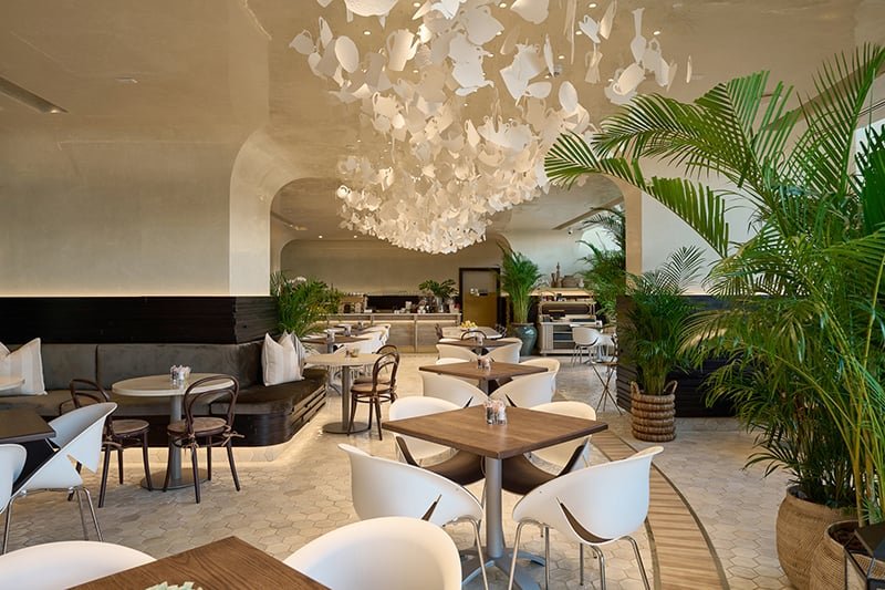 tashas café