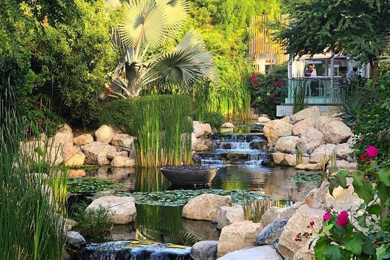 The Farm, Al Barari