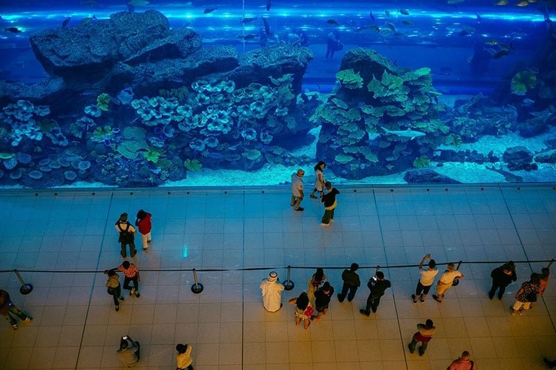 Dubai Aquarium & Underwater Zoo