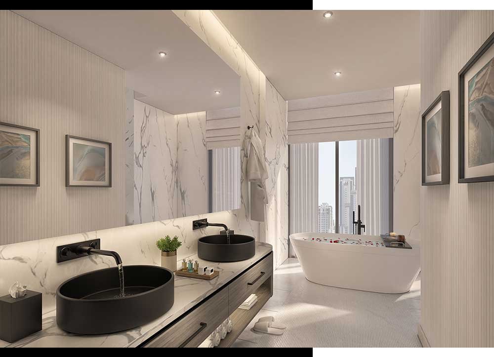 The First Collection