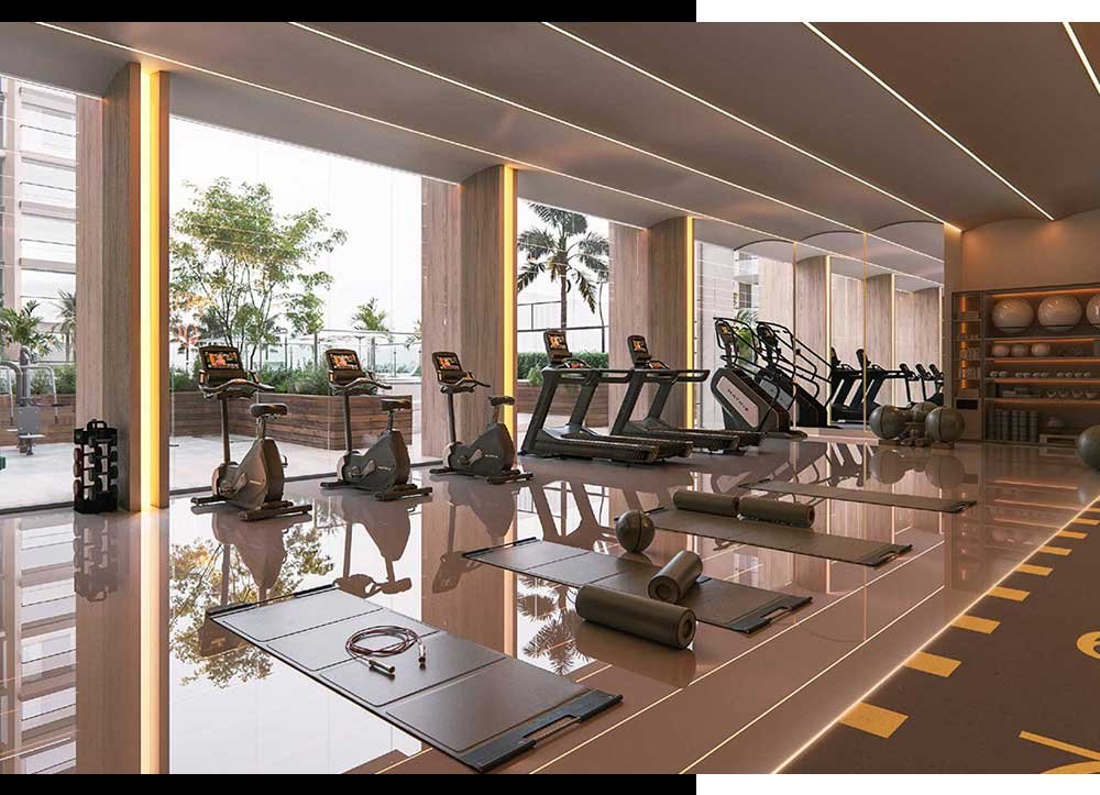 Collection-at-Taiyo-gym