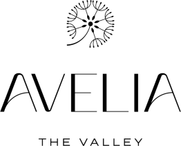 avelia-the-valley-dubai logo