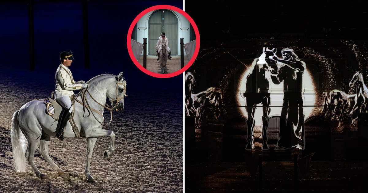 In the UAE, a captivating new horsemanship experience has emerged.