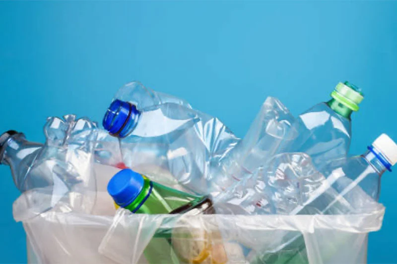 New single-use plastic rules